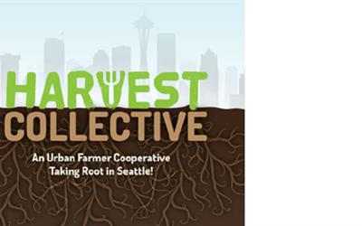 Harvest Collective Coop Logo Design