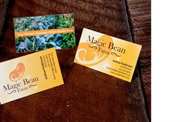 Magic Bean Farm Brand, Logo and Business Card Design